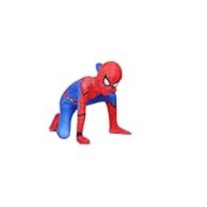 Spider-Man Costume